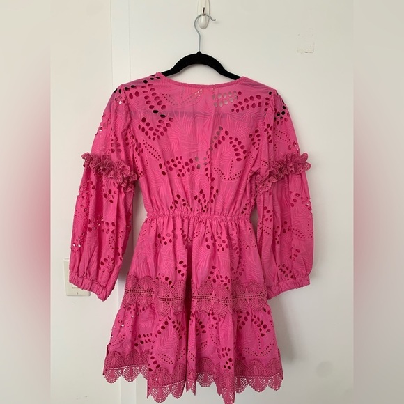 Waimari Connie Lace-trimmed Broderie Anglaise Cotton Mini Dress Pink - Picture 6 of 8